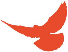 八一慰问消防战士,八一建军节致敬最可爱的人