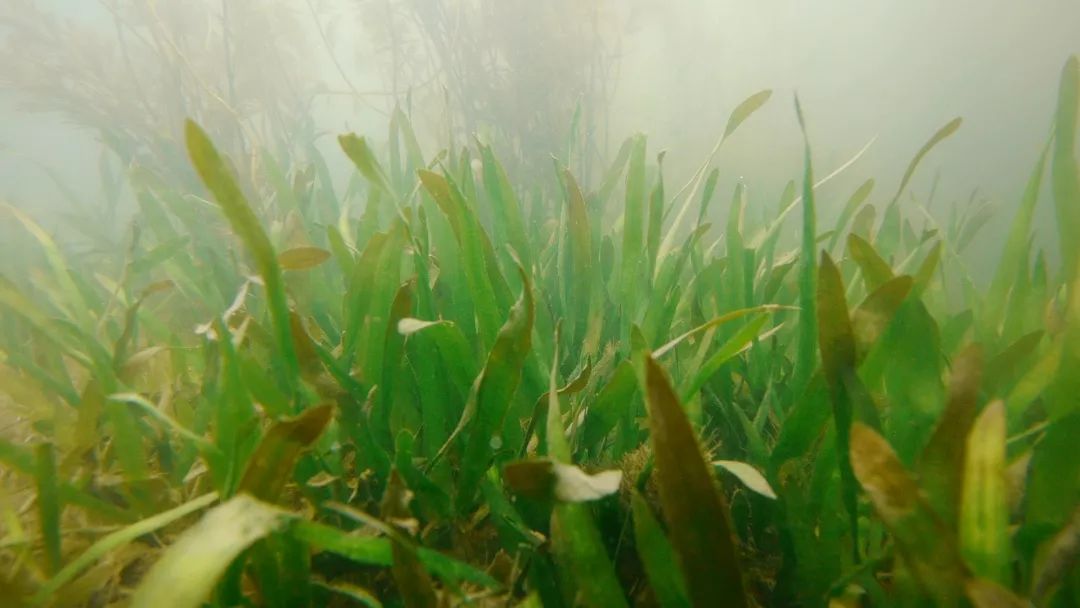 跟随杭州“自然大咖”的步伐，开启西湖秘境之旅！5天4夜，探索鲜为人知的寂静之地