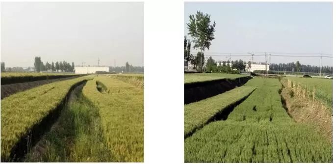 孙大午：农村土地问题与民营经济发展的几点思考