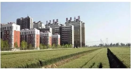 孙大午：农村土地问题与民营经济发展的几点思考