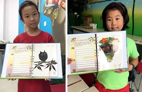 辰山植物园最近有什么活动,动植物园夏令营