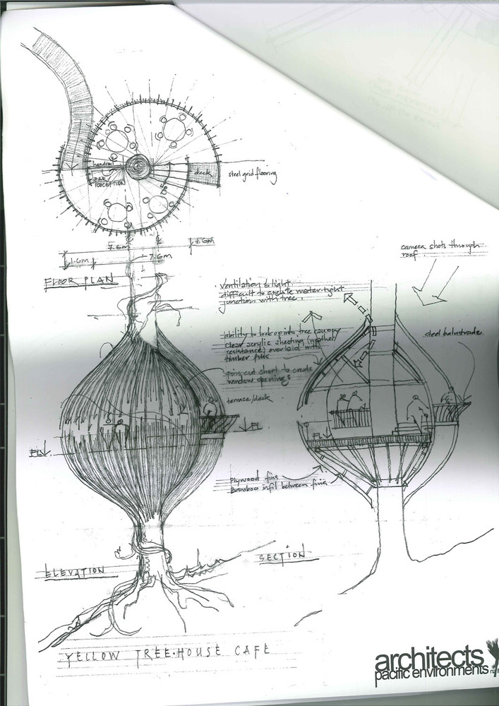 让这个红杉树上的餐厅来实现你儿时的树屋梦想