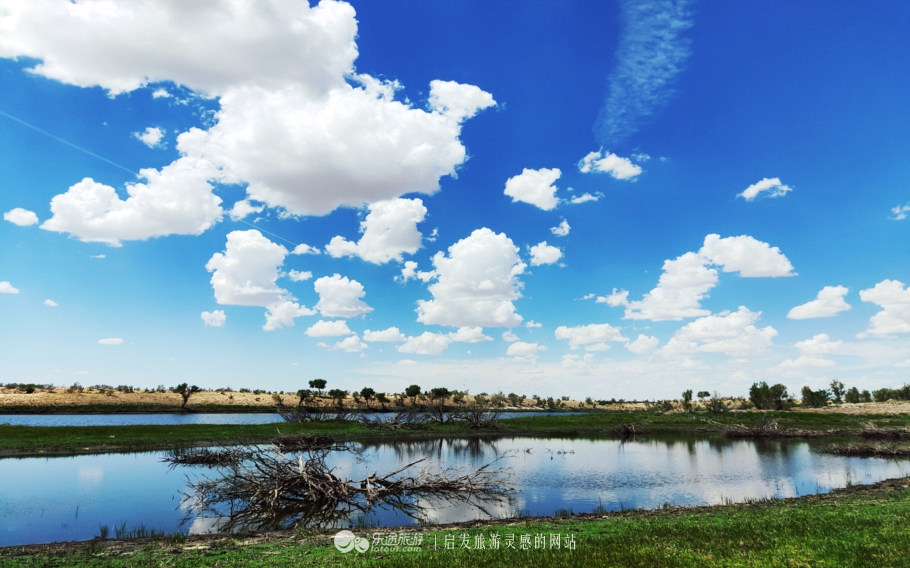 东道海子的视频,东道海子简介