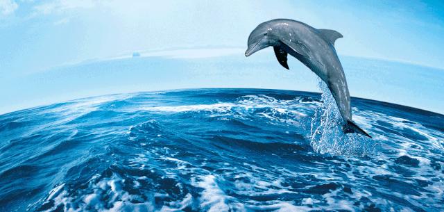 海事新闻播报,海事新闻最新头条