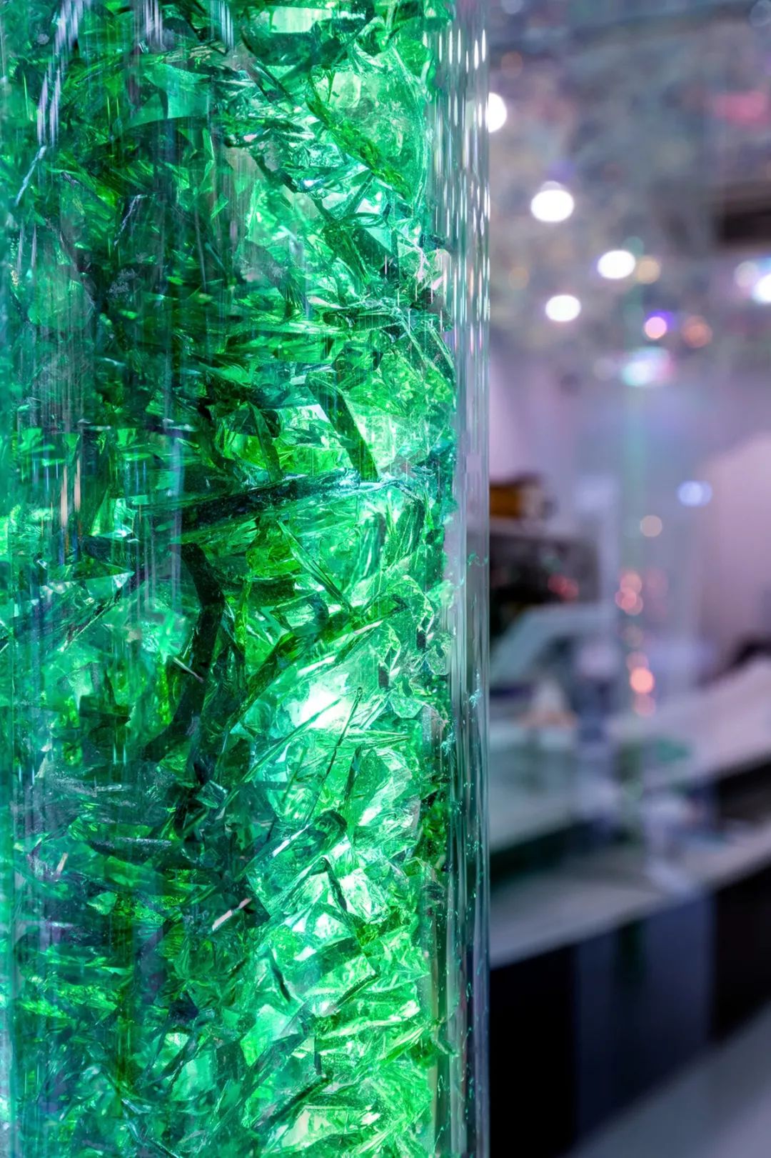 夏天来喝夏天的一杯奶茶,夏天在森林里喝咖啡