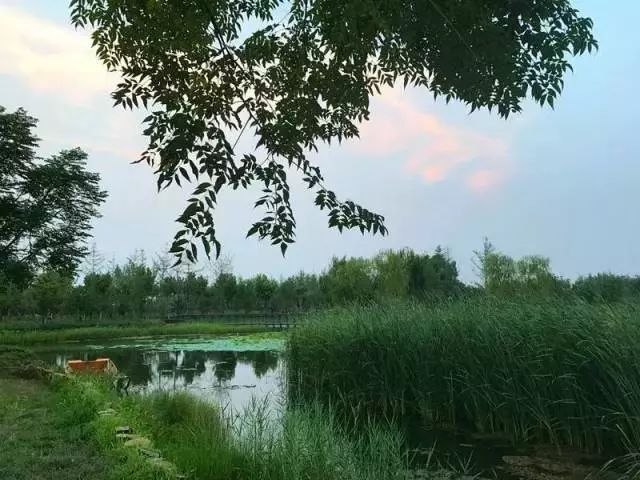 郑州湿地公园有啥好玩的,郑州周边的这七大湿地公园