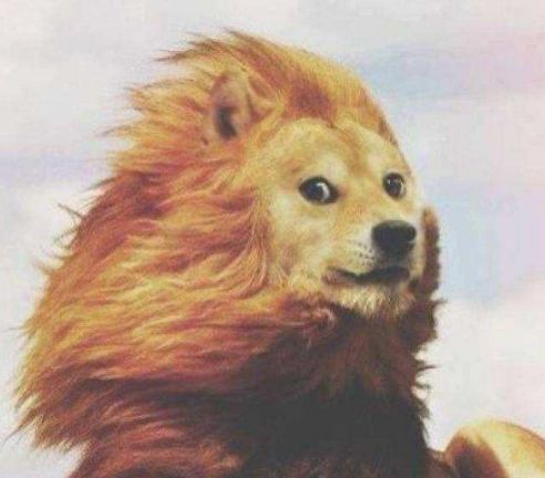 vlogger头戴装备,vlog日常今年出门必戴帽子