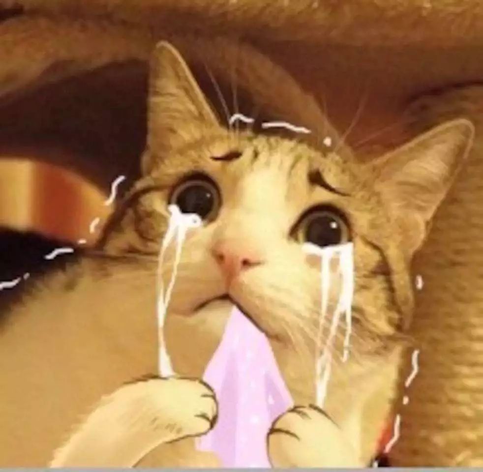 日本网红药是真是假,日本网红药