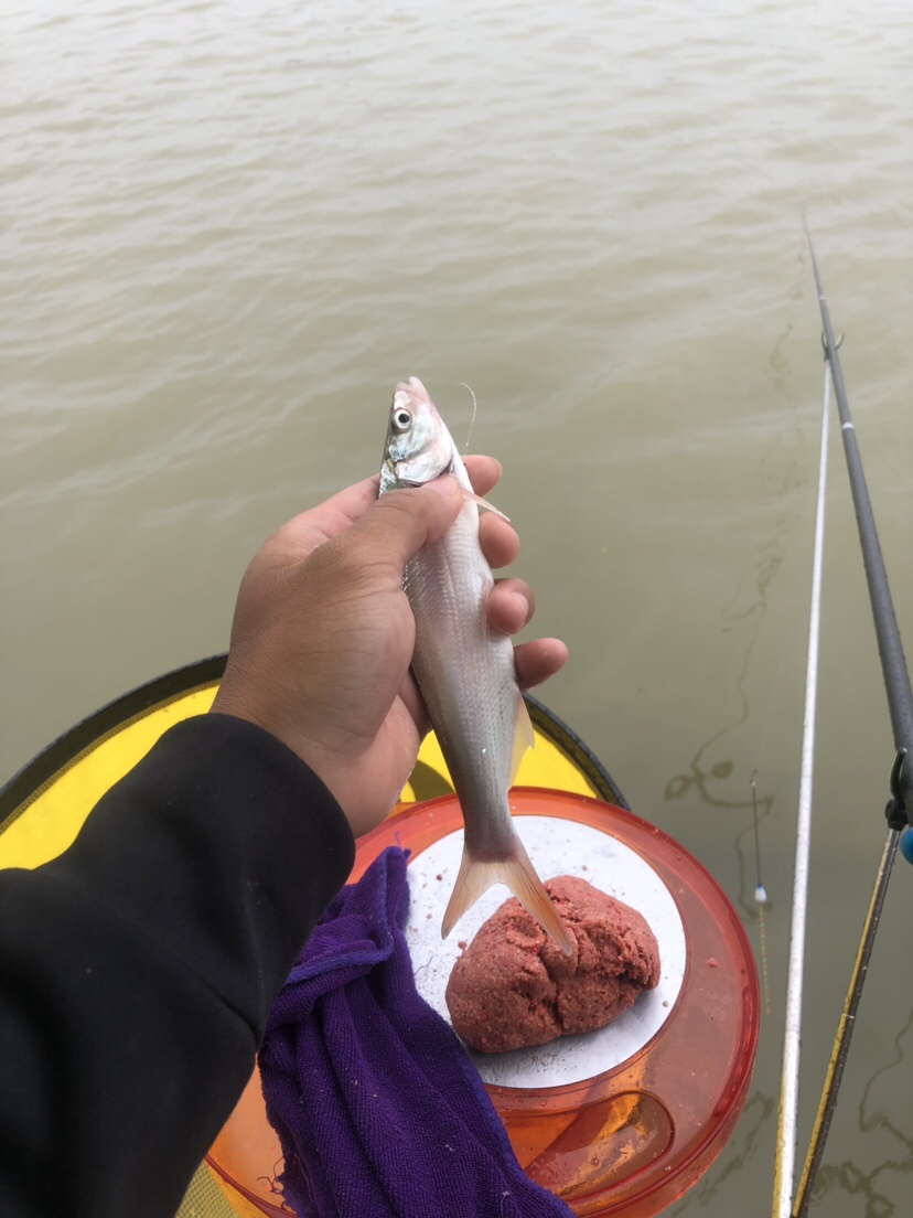 初春河流大水面野钓,大水面滑漂野钓