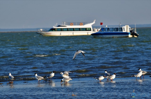 赤峰的最大魅力,赤峰风光秀丽