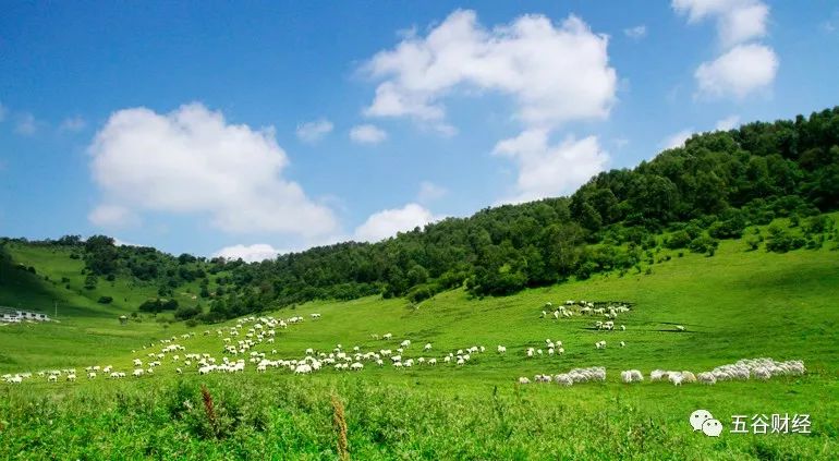 和氏富硒高钙羊奶粉,陕西和氏乳业有机羊奶粉