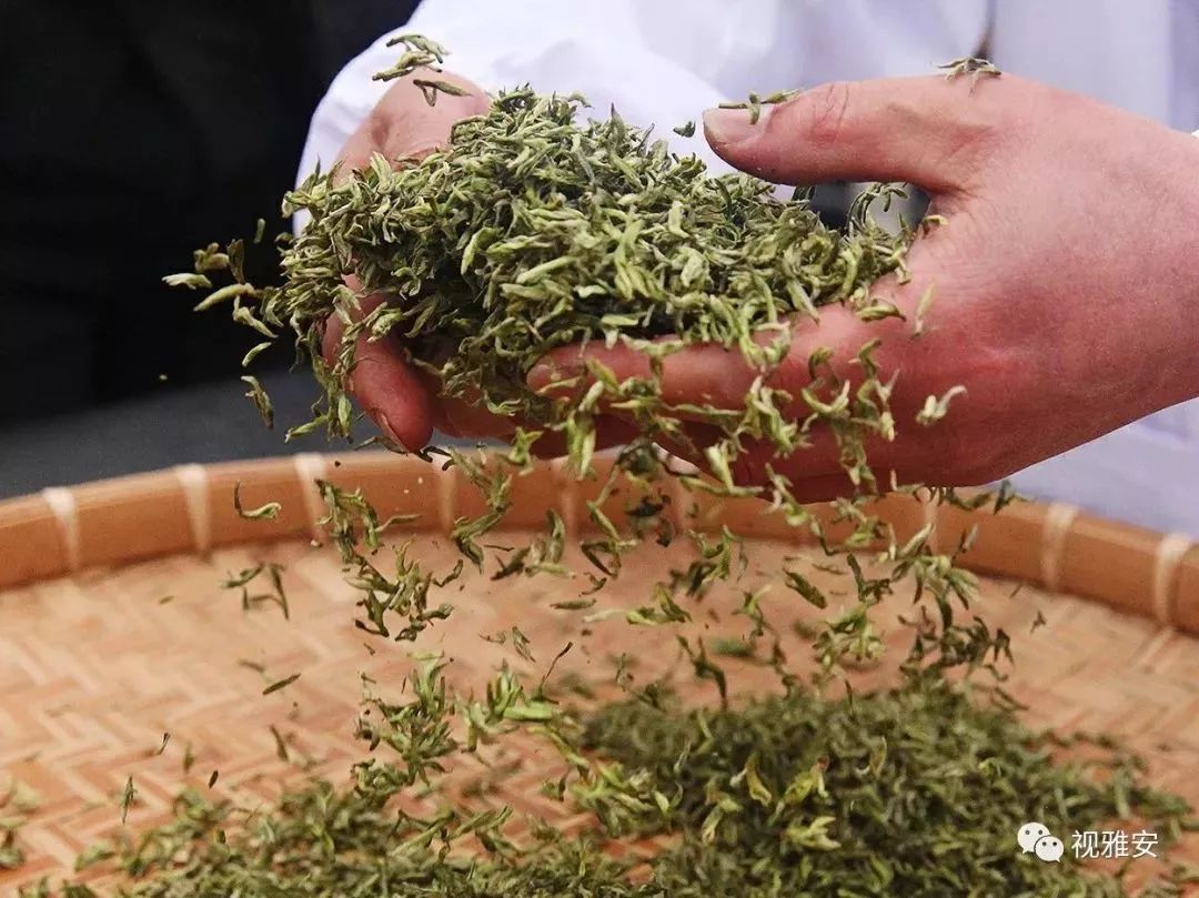 雅安的蒙顶山茶,雅安蒙顶山的什么茶最出名