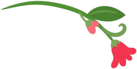 福建四大名镇枫亭,福建千年古镇枫亭