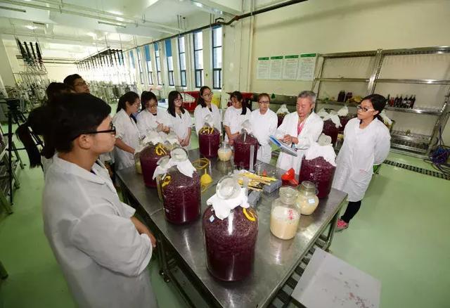 填志愿最新10种专业,高考填志愿所谓的好专业是什么