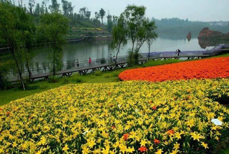 成都有锦城湖公园吗,成都锦城公园简介