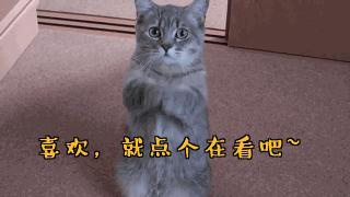 裤腰小了别慌,裤腰小了一根皮筋搞定