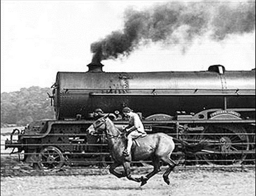 狗粮的历史来历,狗粮发展史大全