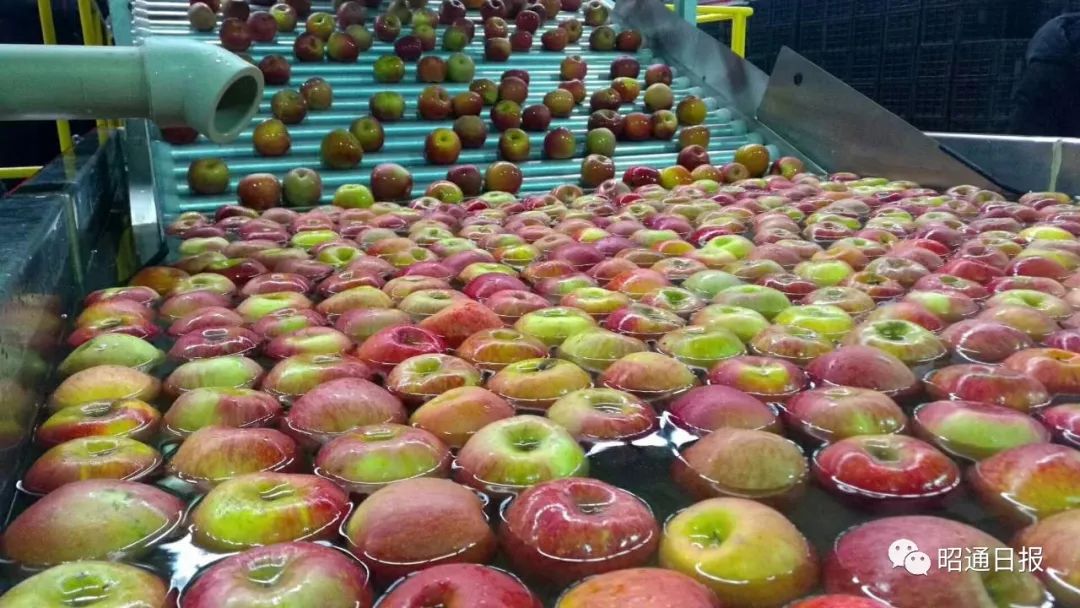 苹果之城是指哪个城市,苹果之城是哪里