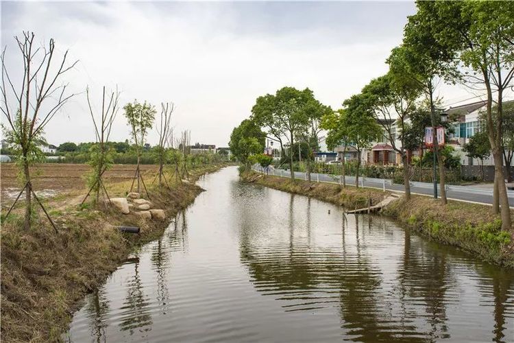 张家港最美的风景,杭州十大美丽河道