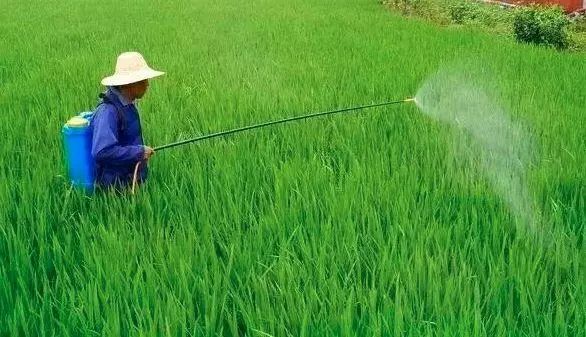 高手打药技巧,高手打药技巧视频教程