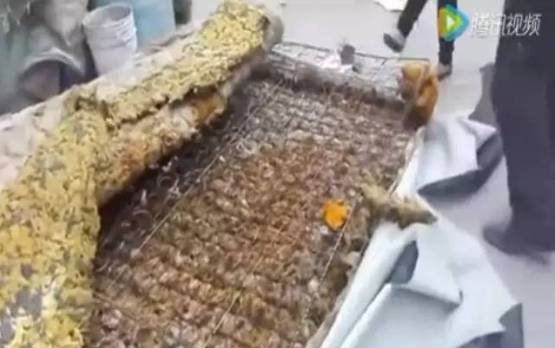 可怕！睡了10年的床垫掀开内部竟这样