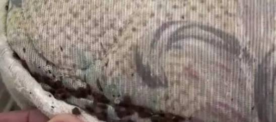 可怕！睡了10年的床垫掀开内部竟这样