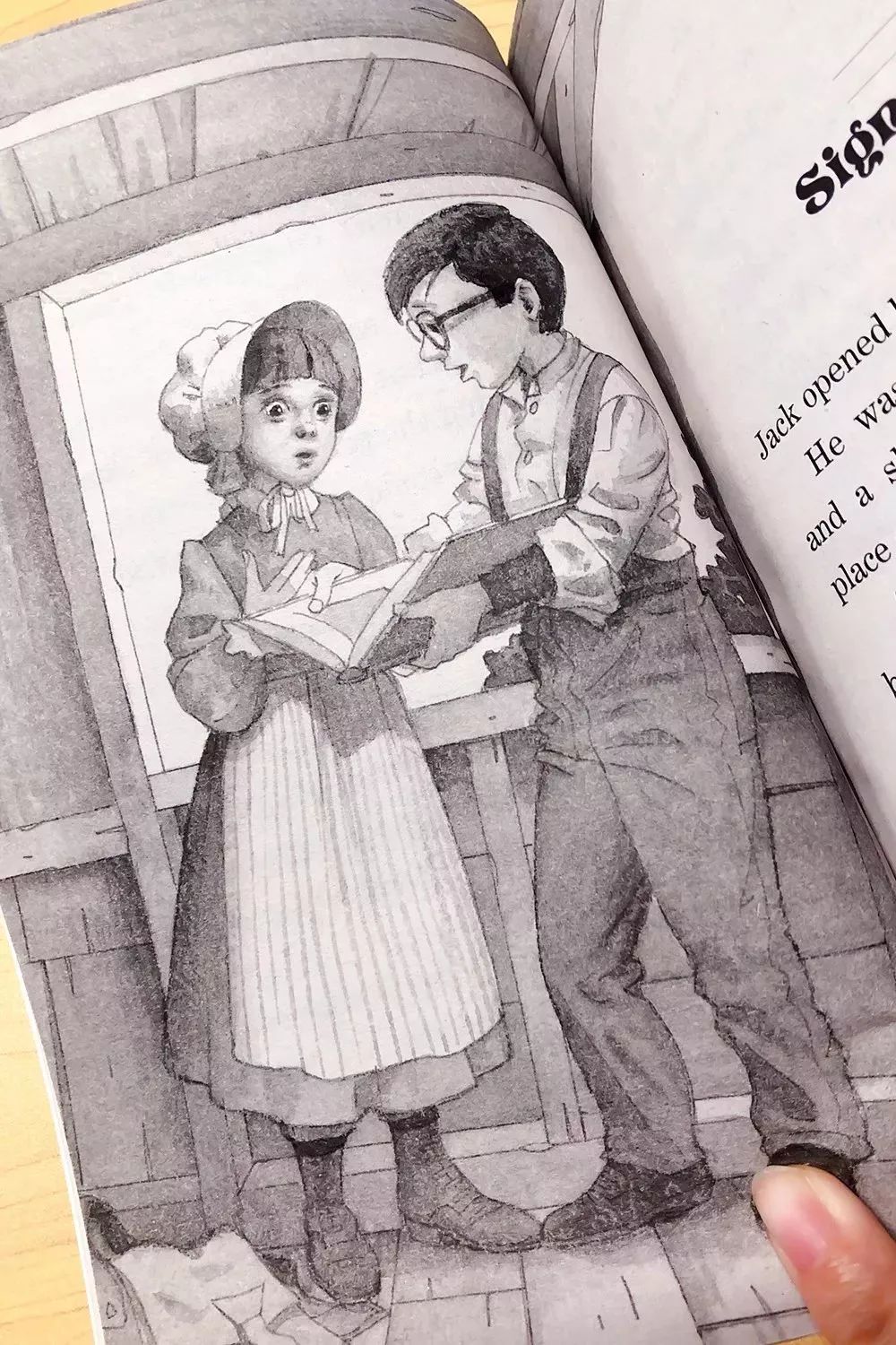 树屋英文原版书单推荐,英文童书神秘树屋