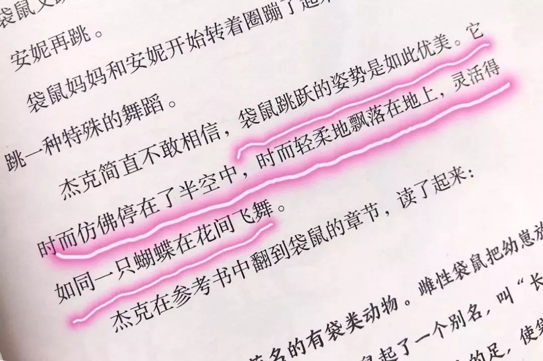 树屋英文原版书单推荐,英文童书神秘树屋