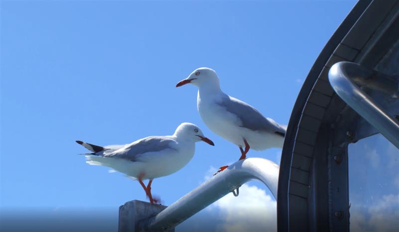 55寸真4K小米全面屏电视深度评测：2199元舍我其谁