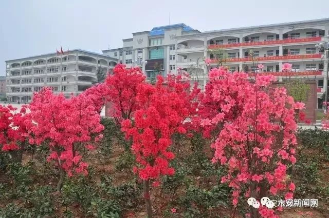 六安有几所示范高中,六安市省示范高中有哪些
