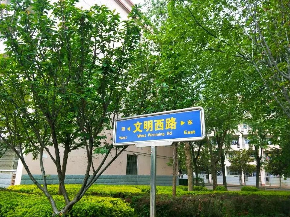 菏泽学院2017年招生计划,菏泽学院2020年招生计划