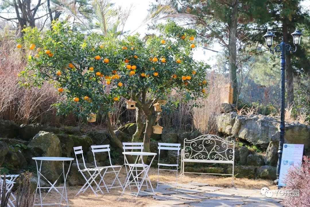 住帐篷一起看星星,住蒙古包看星星的地方