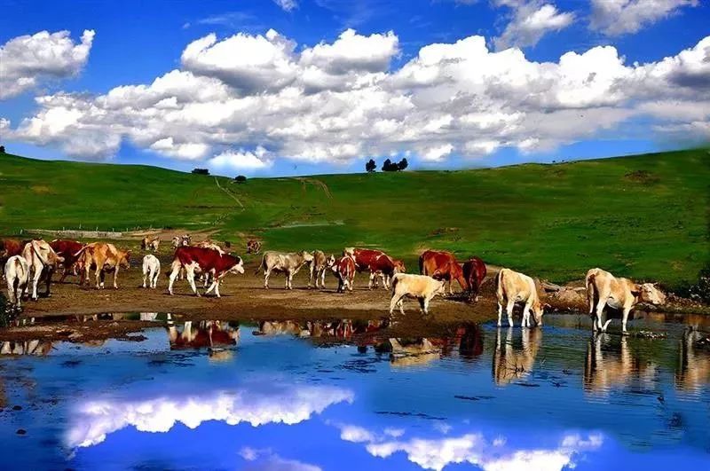 邳州广电直播间,邳州广电直播