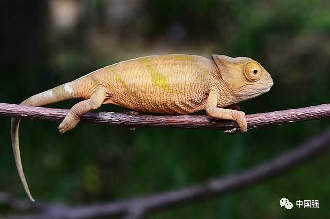 马达加斯加不可思议的旅行,马达加斯加自然景观