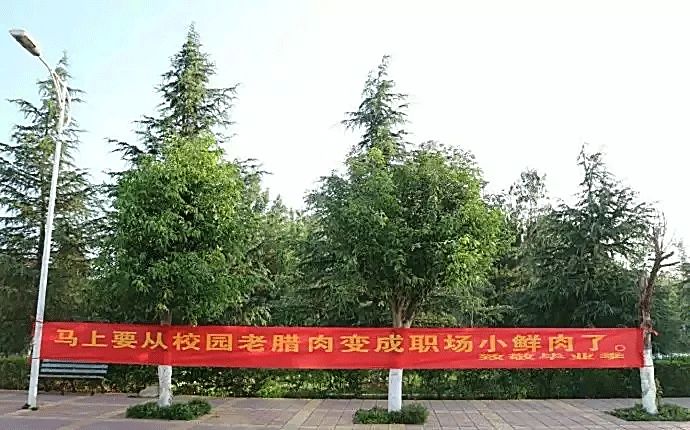 高校走心毕业季标语惹哭网友,催泪的毕业季横幅