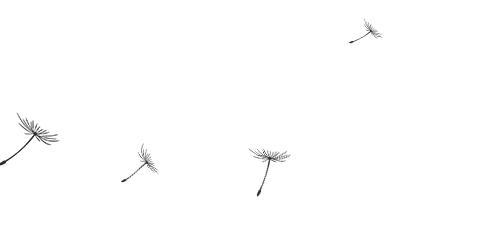 水富市少儿培训,水富市冬夏令营推荐