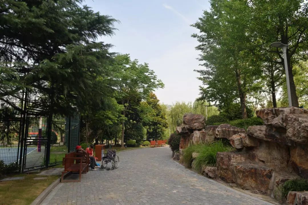 虹桥河滨公园门票多少钱,虹桥河滨公园最新消息