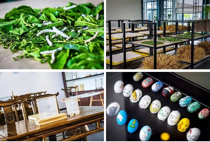 苏州吴江遛娃胜地，住古镇环绕的万丽酒店，畅玩万平“小三亚”沙滩