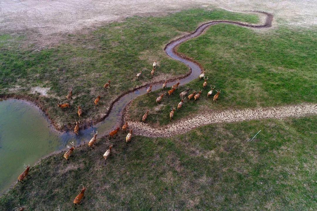 江苏的世界遗产旅游景区,江苏哪些地方被列入世界文化遗产