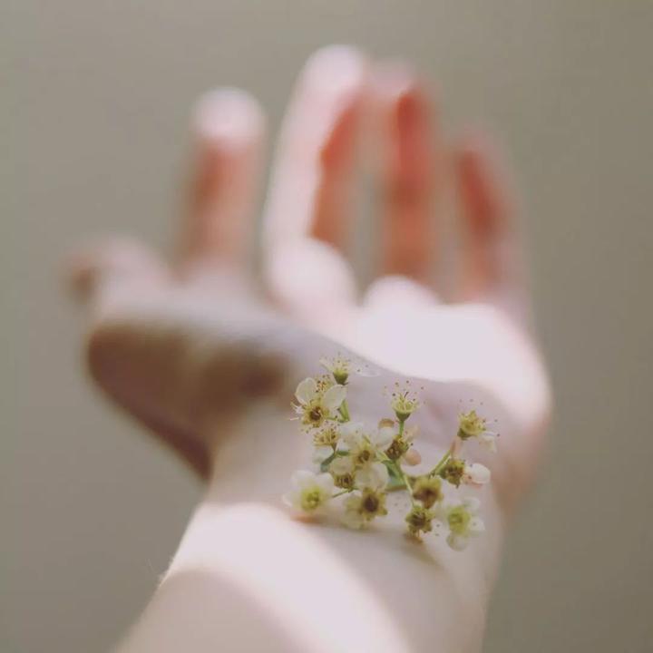 露肉季节快到了身上还是肥嘟嘟的,即使到了露肉的季节也不能松懈