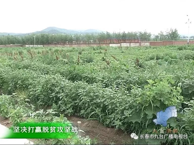 胡家乡红石村视频,胡家乡红石村最新视频