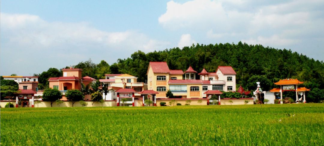 别拦我我要回家图片,别拦我我要回家