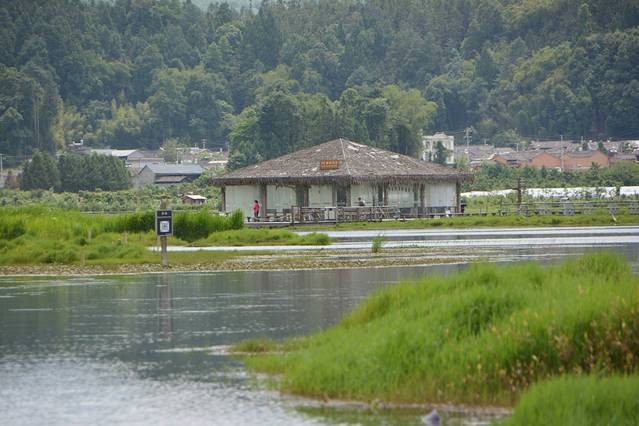 鑵惧啿鐑捣鏅尯鍏崄宀佸厤绁ㄥ悧,浜戝崡鑵惧啿鐑捣鍏洯鏅浠嬬粛