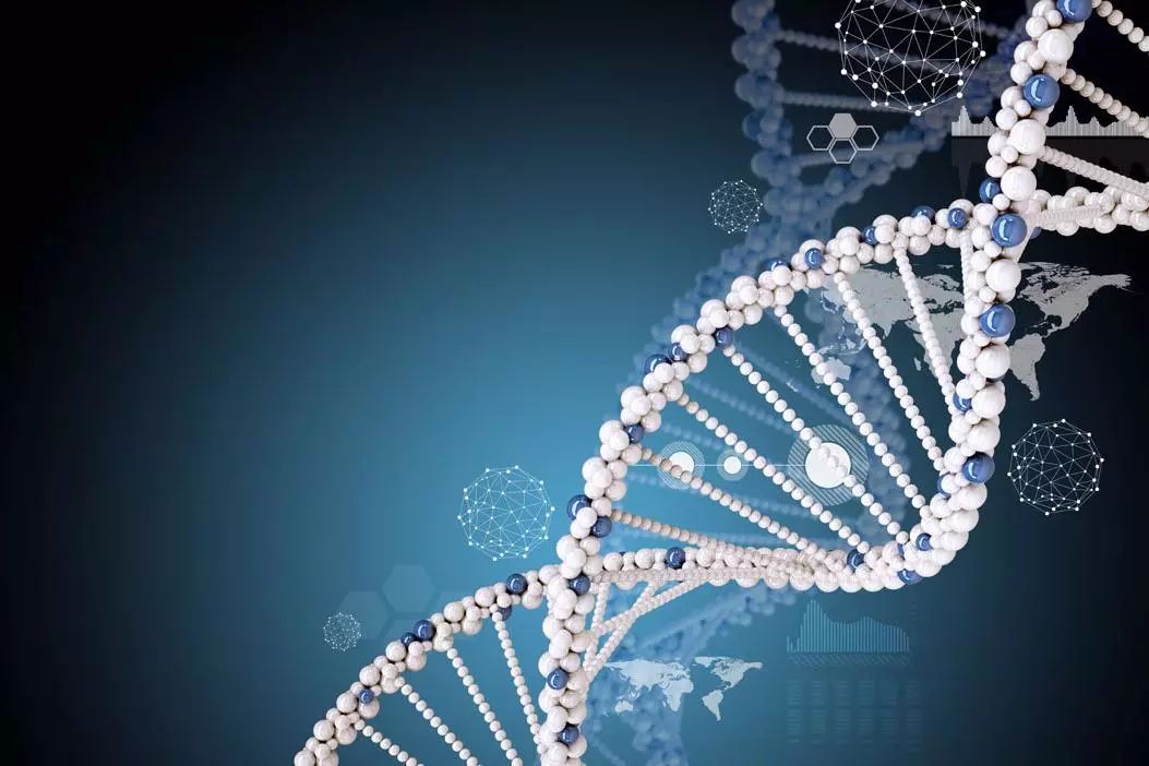 新药受试者招募,胰腺癌新药k001