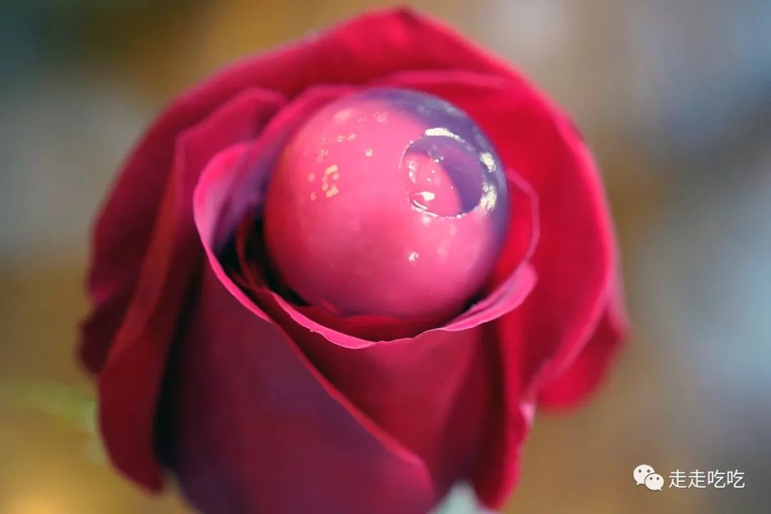 宸村缃楅偅鎬庝箞涔扮エ,宸村缃楅偅涔扮エ