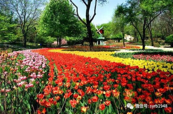 沈阳周边十一游玩好去处带孩子,暑假沈阳好玩的地方推荐