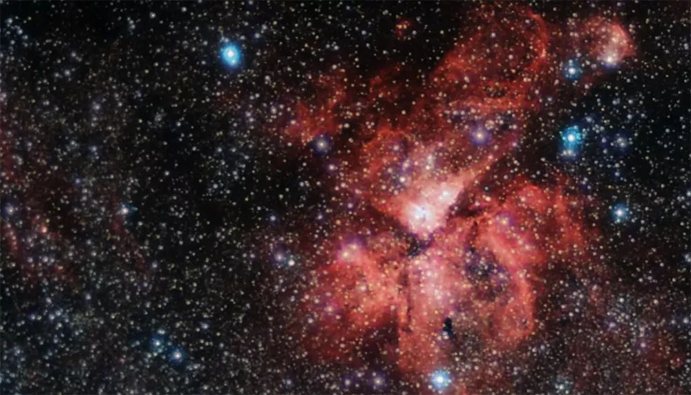 「一周影像资讯」相机迷制作出世界上最小胶片相机；蜷川实花执导电影《人间失格》九月上映