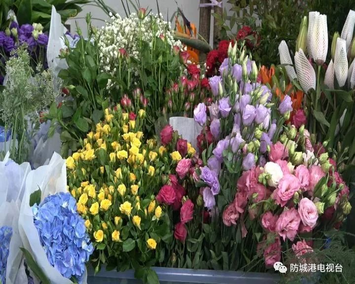 防城港园博园参观时间,防城港园博园活动时间直播