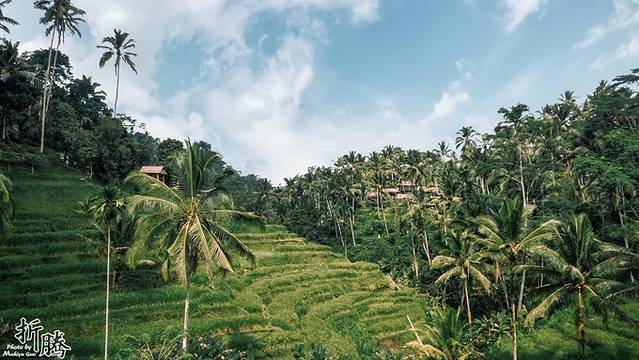 南纬八度.又见BALI