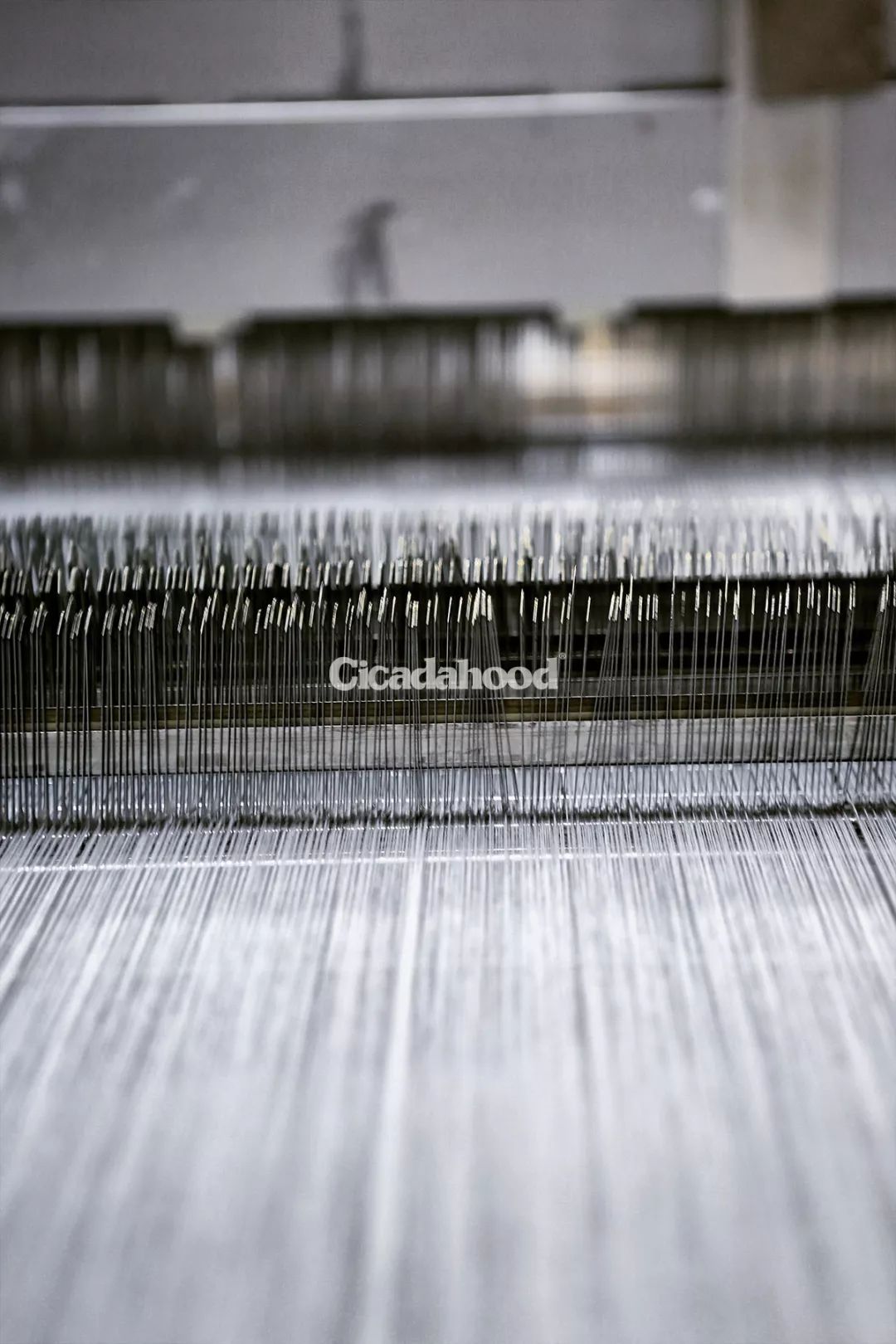 现在的女生找对象不按自身条件找,女孩找对象都看颜值